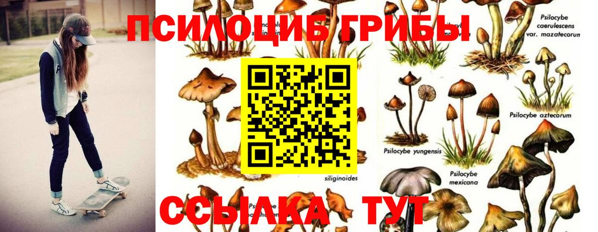 Псилоцибиновые грибы мухоморы Чехов